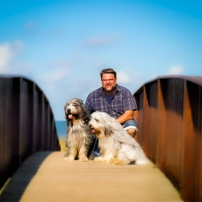 Lutz mit zwei bearded Collies auf Brücke