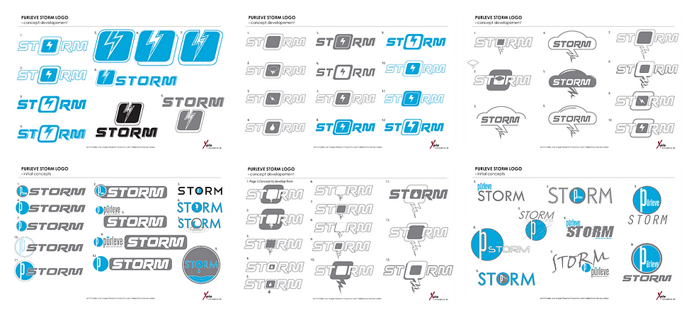 Purleve Storm Logo Dev
