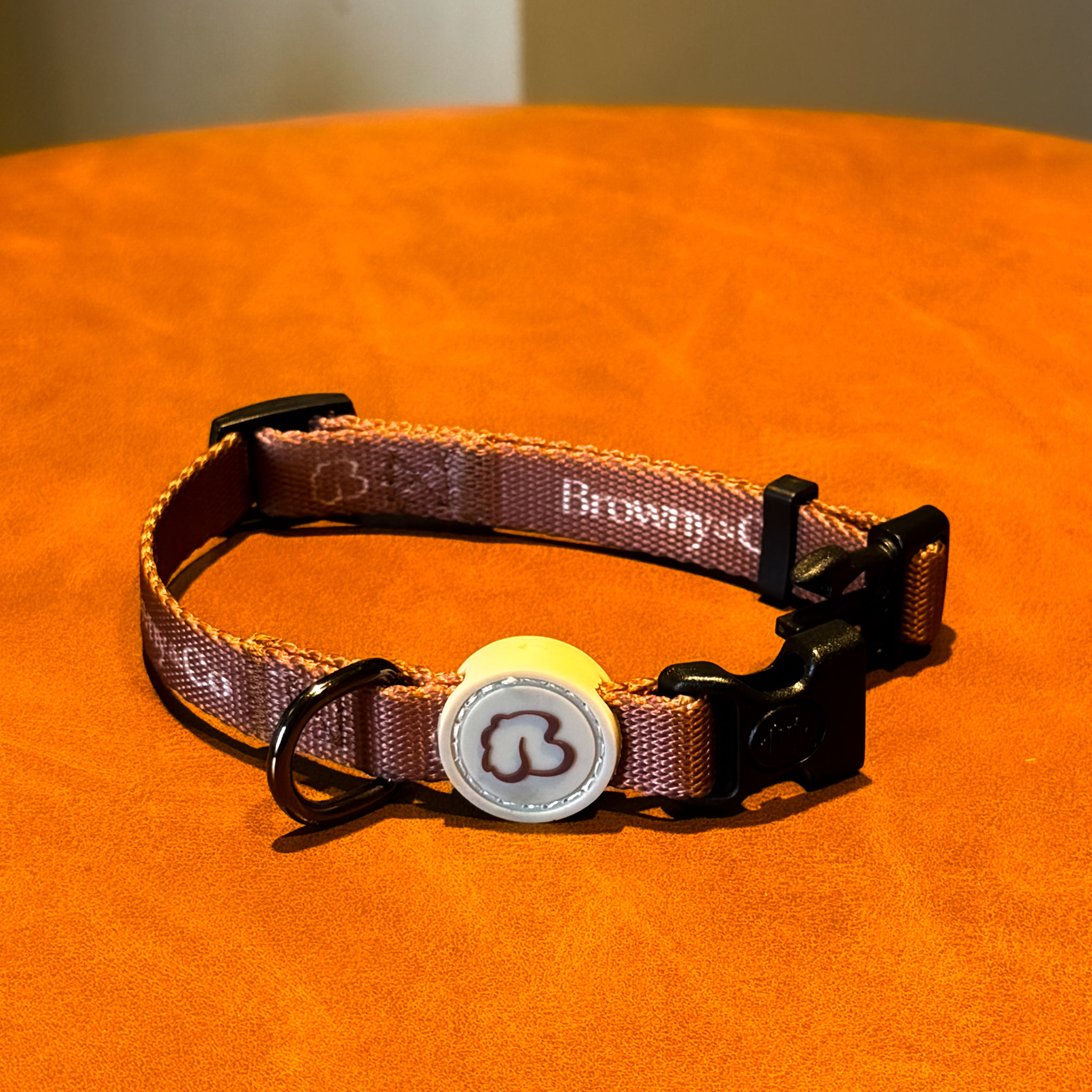 The Signature Collar