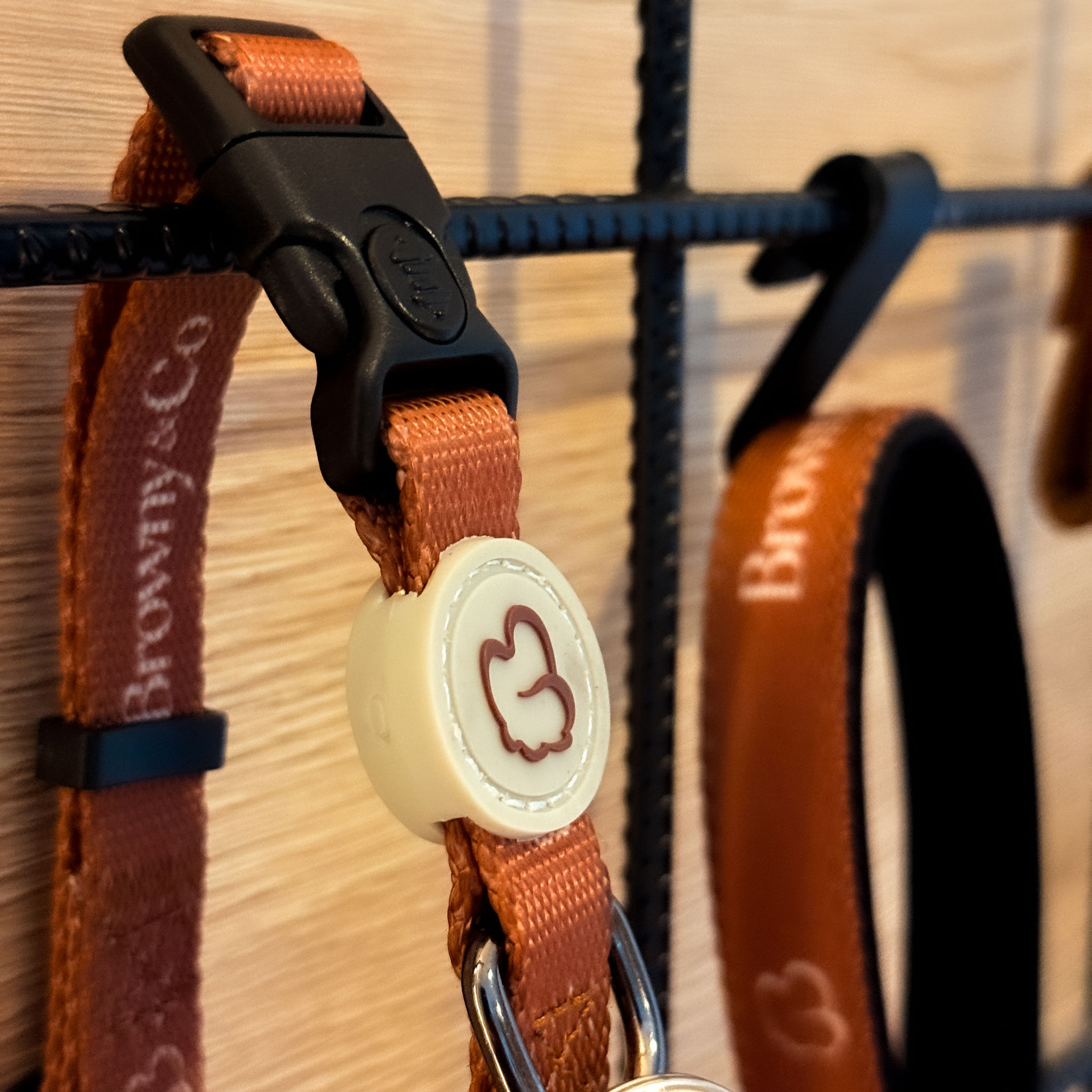 The Signature Collar