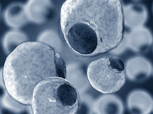 Stem Cell Injections: What Exactly Are Doctors Injecting?