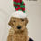 Thumbnail: Orange Collar