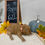 Thumbnail: Orange Collar
