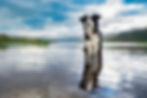 Leica-Darcie-Macgregor-03.jpg