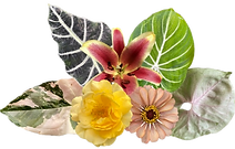 Seasonal Florsit