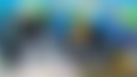 MLK Fest BR 2024: Reactivating Gus Young Ave (Eden Park Neighborhood)