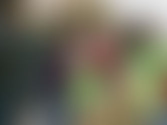 Plants for the People 