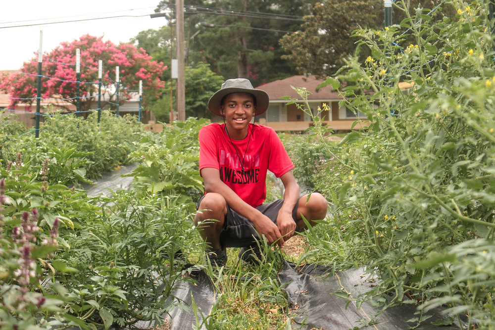 Baton Roots Rooted in Resilience: Baton Roots Flourishes After Long Winter