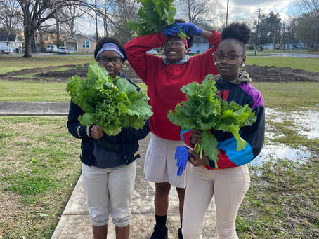 Farm to Table: Make these fresh summer dishes using veggies from Baton Roots 