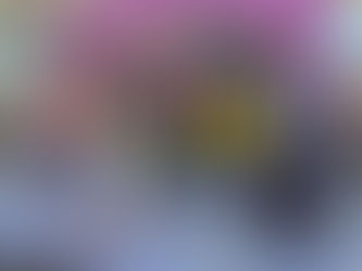 Park Elementary Mural: Panther Pride in Paint