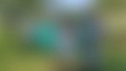 Spring '22 Capstones: Hustle & Grow and Tech Academy