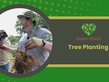 Demonstration: Tree Planting with Baton Rouge Green