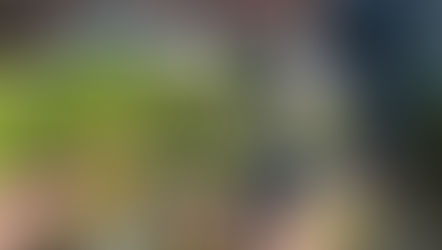 225 Gives 2021 - Help Us Bring Baton Roots to More Neighborhoods