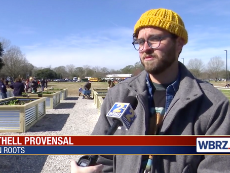 Community garden laying down roots to alleviate food desert