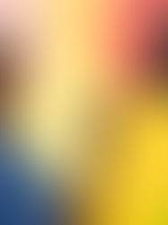 MLK Fest CO 2025: Transforming Lansing Elementary Through Art, Service, and Community