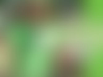 Virtual Gardening on Wellness Wednesdays