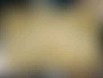 Welcome, Camille Curry — Our New Associate in the Harrison Office