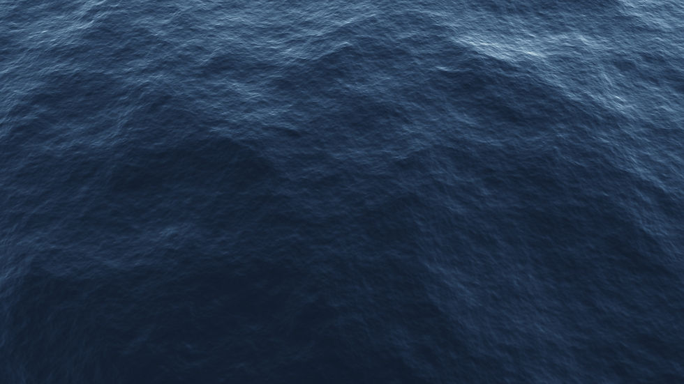 hélice em bronze e alumínio Acessórios marítimos Marinização Reversores Motores (800 x 100