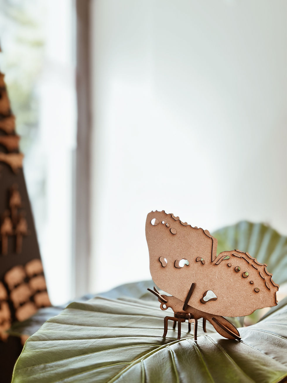 Miniatura: Borboleta  3D