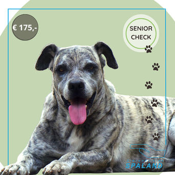 senior check 175 euro dierenkliniek spaland