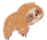 angela lena.png