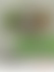 Diálogos em papel no Museu