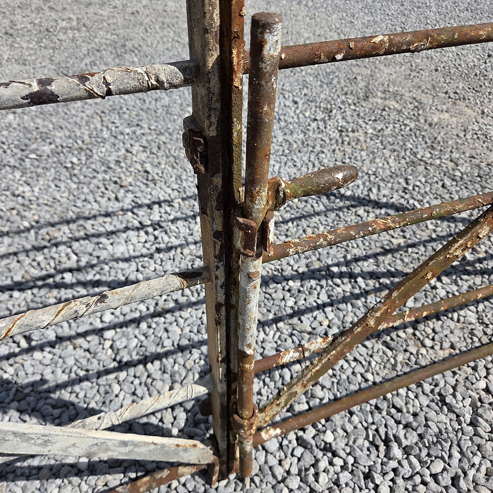 Thumbnail: Wrought Iron Field Gates