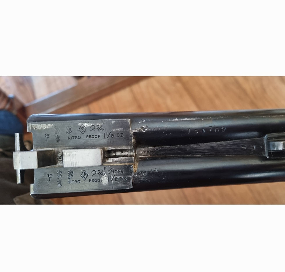 Thumbnail: Fred Williams 16 Bore