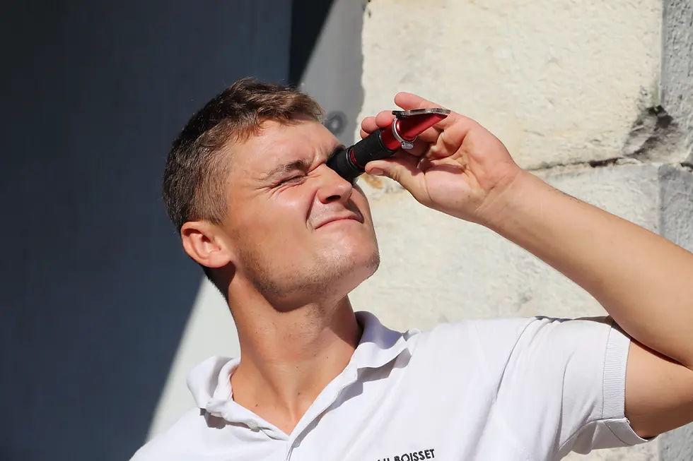 Mesurer la maturité du raisin en Pic Saint Loup