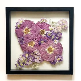 Oshibana Pressed Frame