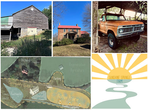 Untitled_Artwork 71.jpg