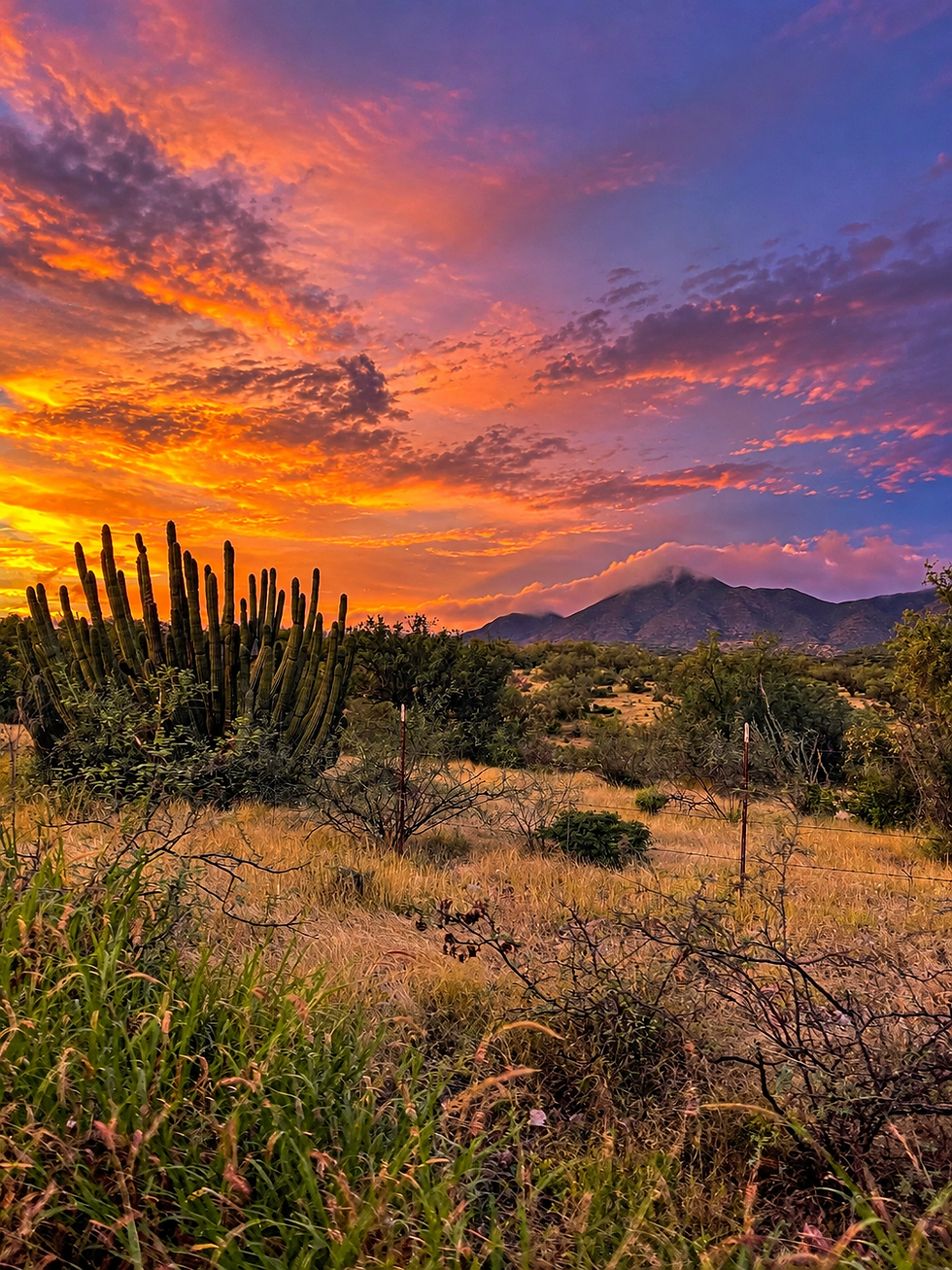 La Cantera Sunset.PNG