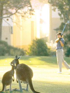 Joondalup Golf Course.jpeg