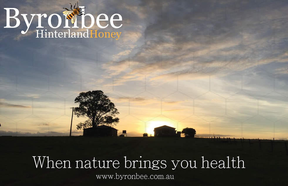 Byronbee-header1.png