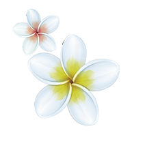 flower3.png