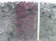 h09.jpg