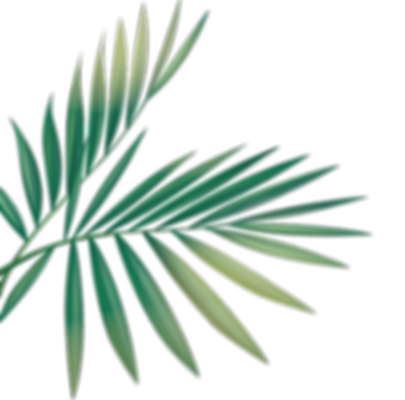 g4_edited_edited_edited_edited.png