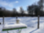 Terrasse et forêt enneigée