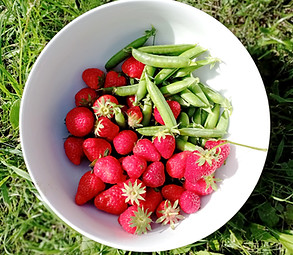 IMG_20220610_093339 (1)_edited.jpg