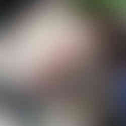 An Assortment of Karen Taylor's Embroidered Pin Cushions.