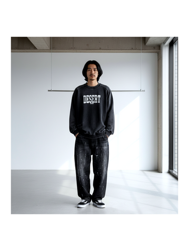 LIBERAIDERS/ desert crewneck | ROLY POLY