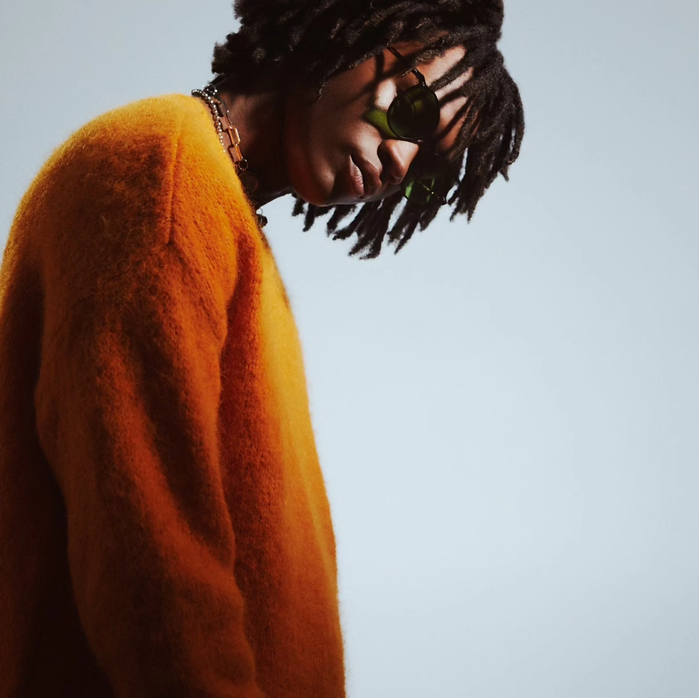 Thumbnail: AKILA Laguna black aluminum/green lenses