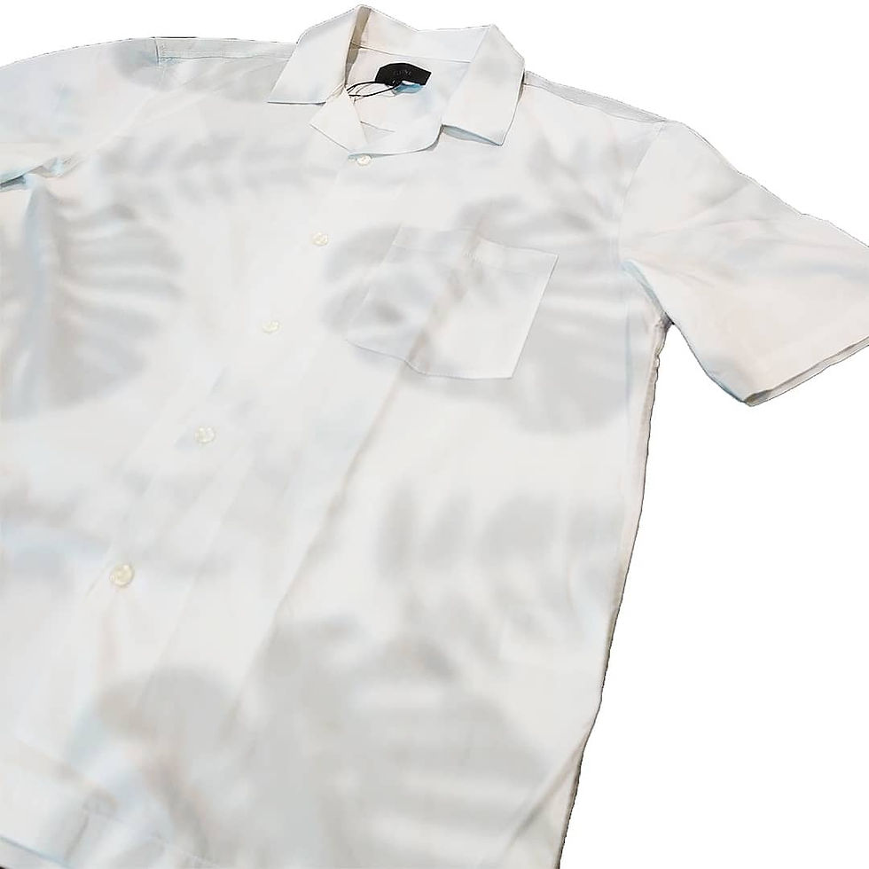 サムネイル： ELVINE    monstera shadow shirts