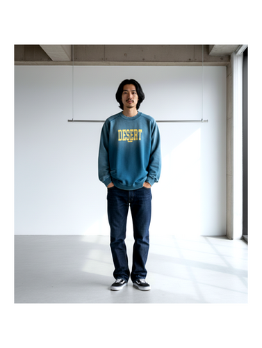 LIBERAIDERS/ desert crewneck | ROLY POLY