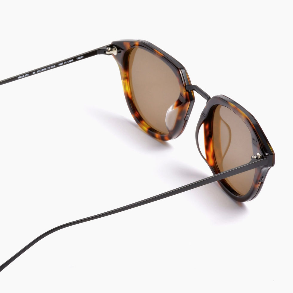 Thumbnail: AKILA THEORY Tortoise acetate / brown lenses / black hardware