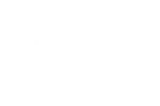 Payment Icon Visa