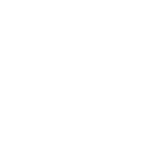 Payment Icon Paypal