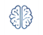 brain 3.png