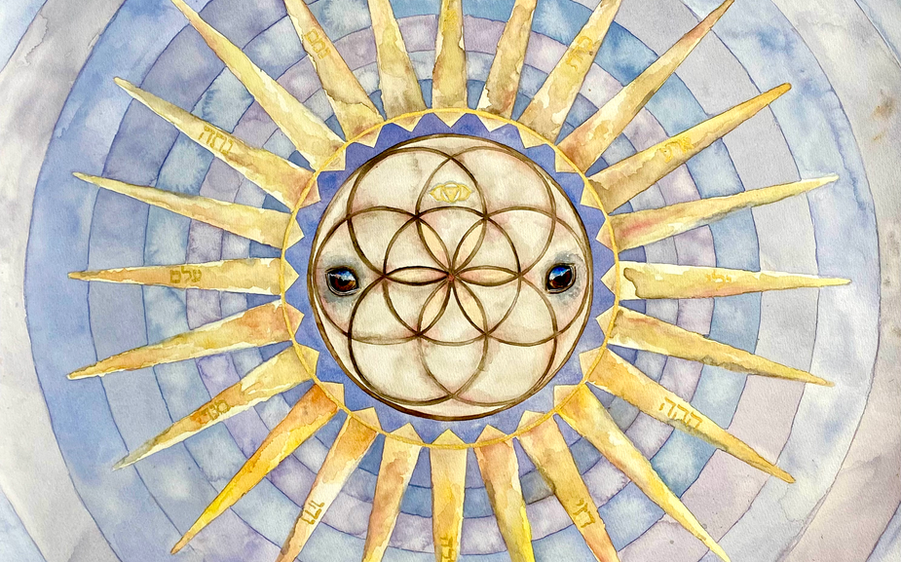 Sun frequencies.heic