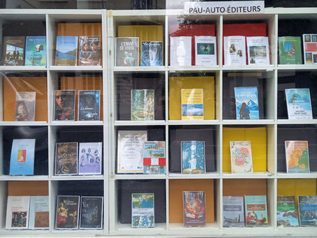 Les Couleurs d'Élisabeth - retours sur lecture